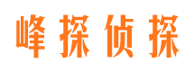 遂平婚外情调查取证